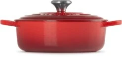 Le Creuset - Gietijzeren - Lage Braadpan - 24cm - Kersenrood -Keuken Pot Winkel 1200x561 2